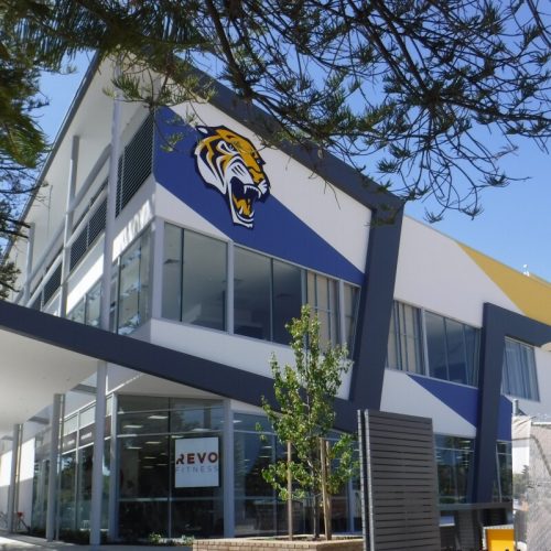 side_w_tiger_2000x1334